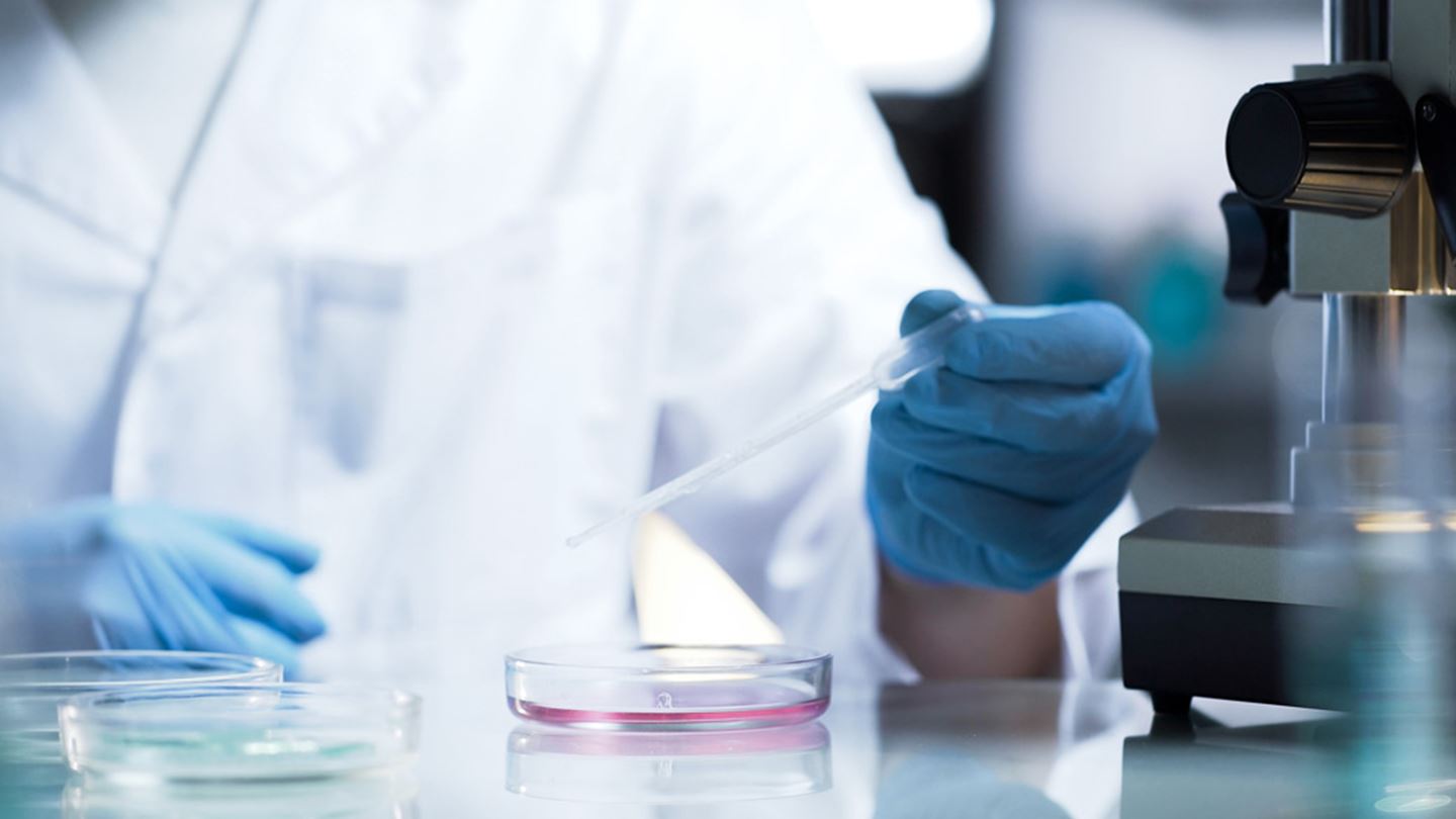 Laboratorium (1)